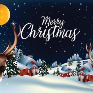 Christmas Party Ticket Single HBE 2025